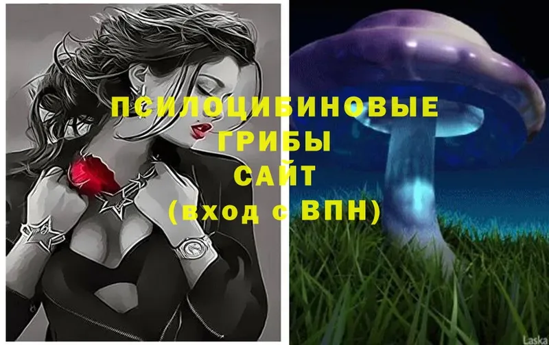 купить закладку  Балахна  Псилоцибиновые грибы Cubensis 